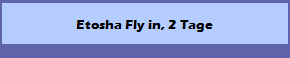 Etosha Fly in, 2 Tage